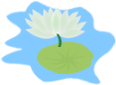 corner-lotus